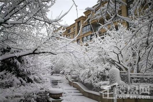 九洲御府园区雪后实景