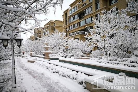 九洲御府园区雪后实景