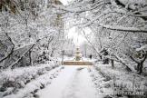 九洲御府园区雪后实景