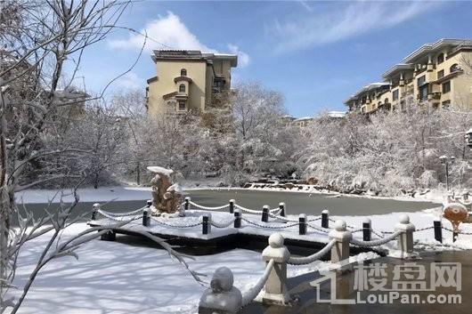 九洲御府园区雪后实景