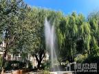 米拉春天园区喷泉