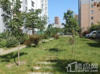 北宇·红枫庭院园区绿化草坪与树木