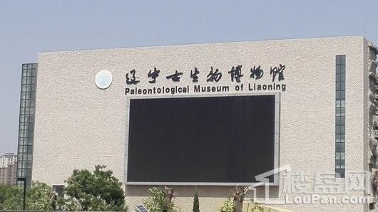 新湖仙林金谷周边配套-辽宁古生物博物馆