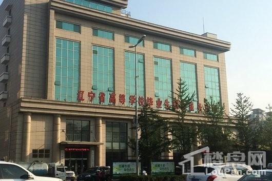 辽宁凤凰国际商务中心周边配套-高等毕业生服务中心