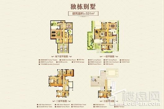 汉源国际华城独栋别墅 11室2厅4卫1厨