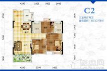 沔阳公馆C2户型 3室2厅2卫