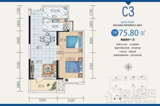 蓝天新城1#楼C3户型（中间户） 2室2厅1卫1厨