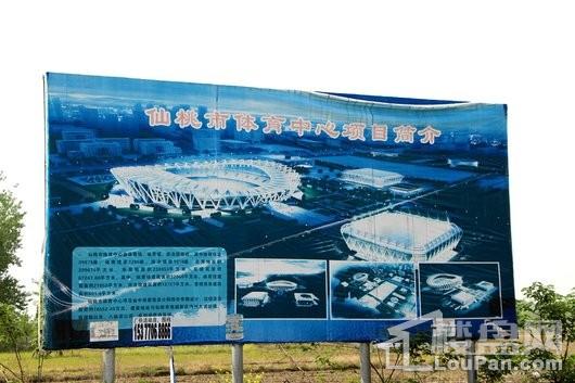 蓝天新城仙桃体育中心（在建）