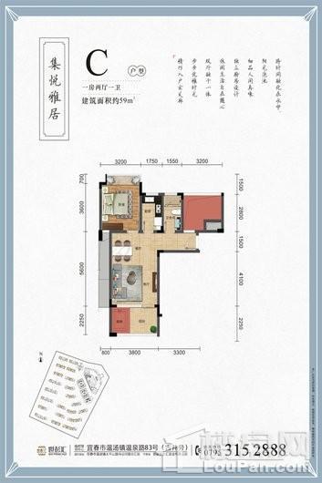 温汤1号C户型 1室2厅1卫