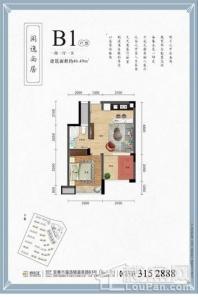 温汤1号B1户型图 1室1厅1卫