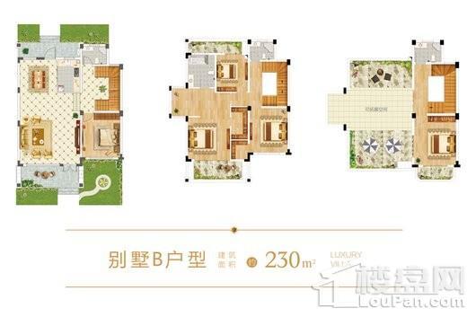 宝湖城别墅B户型 5室2厅3卫1厨