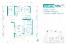 碧桂园龙城Y306B户型 3室2厅2卫1厨