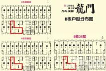 万科美景龙门B栋楼D户型 2室2厅1卫1厨