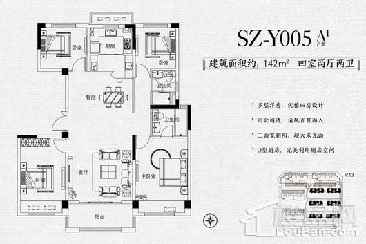 碧桂园西湖SZ-Y005A1户型 4室2厅2卫1厨