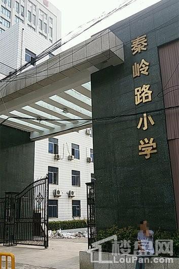 五龙新城秦岭路小学