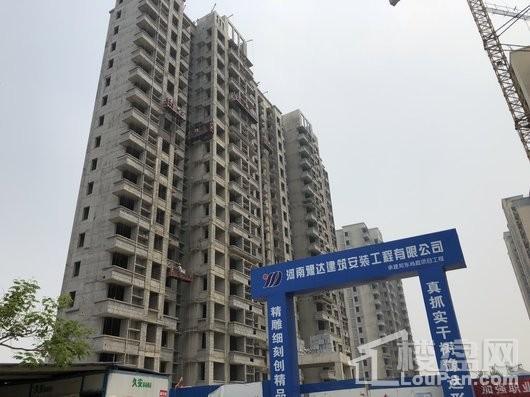 郑东尚庭在建工地实景