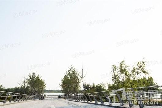 亚新海棠公馆周边蝶湖景观