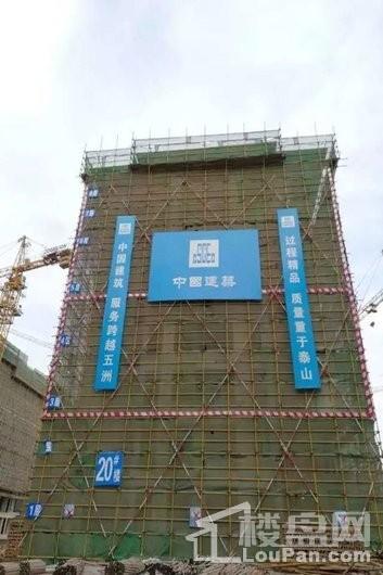 建业运河上院工程进度