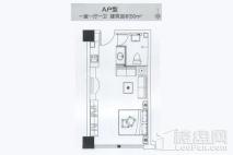 华信米克空间A户型 1室1厅1卫1厨