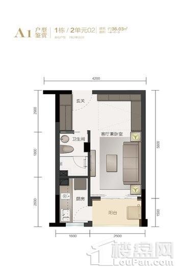 盛東江山賦1栋2单元02户型 1室1厅1卫1厨