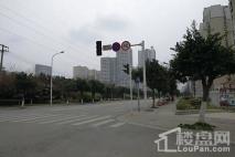 保利林语溪项目旁道路