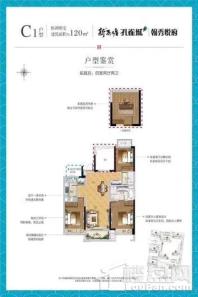 新西塘孔雀城12期 C1 户型 4室2厅2卫1厨