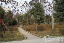 香山长岛项目旁小公园