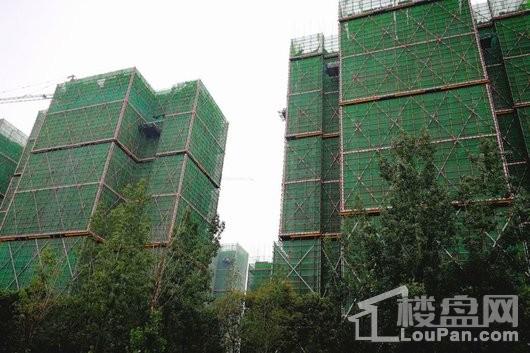 人居盛和林语在建楼栋（2017-06）