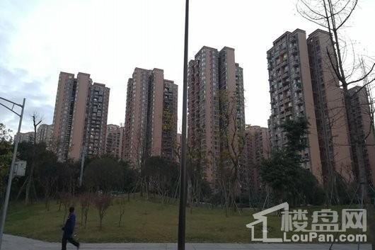 蓝润东悦荟附近住宅小区