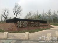 中洲锦城湖岸桂溪生态公园天府大道入口处