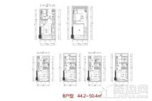 天鹅湖ΜΟΜΛB户型 1室2厅1卫1厨