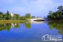 恒大锦城北湖公园