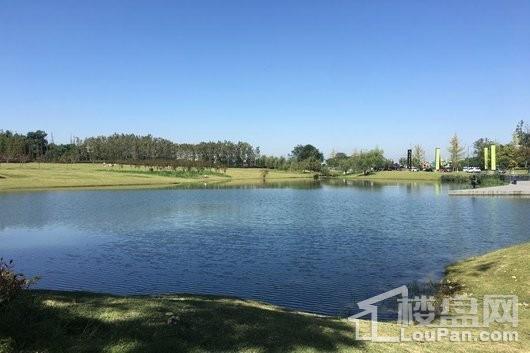 保利两河院子小区外部公园