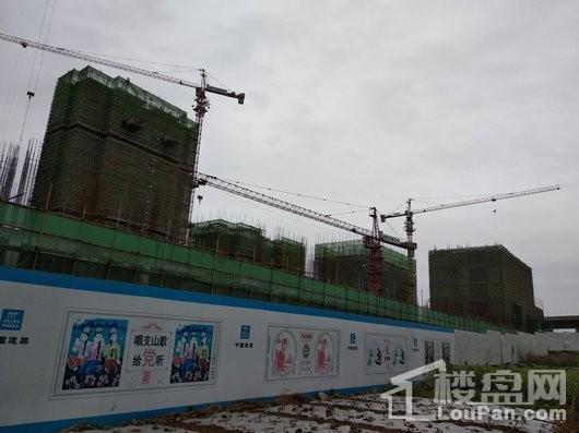 合谊乐湖在建楼栋现场实景