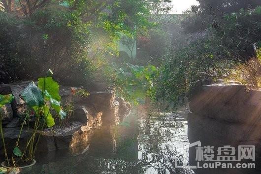 领地锦巷蘭台小区内景观实景