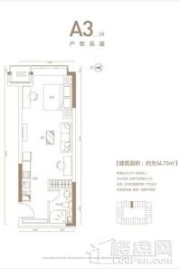 恒大中央广场A3户型 1室1厅1卫1厨