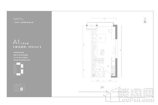 恒大中央广场平层公寓A1户型 1室1厅1卫1厨