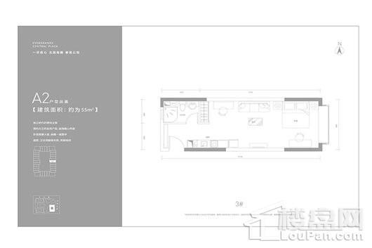 恒大中央广场平层公寓A2户型 1室1厅1卫1厨