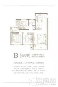 龙记·观园天璞B户型118㎡三室两厅两卫