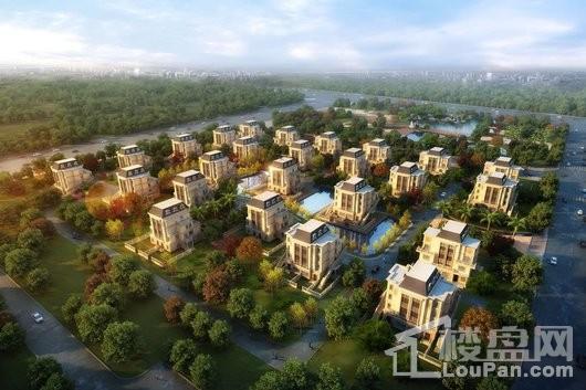 鑫磊·湖滨名墅鸟瞰图