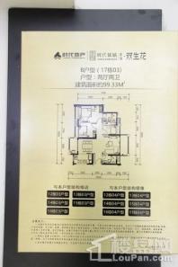 時代傾城B戶型17棟03兩廳兩衛建面99.33㎡單位