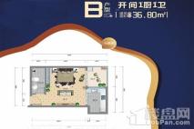 金港海岸B户型 1室1厅1卫1厨