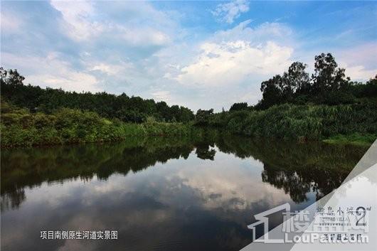 椰岛小城周边 项目南侧原生河道实景图