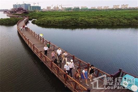 富力红树湾周边 红树林湿地公园