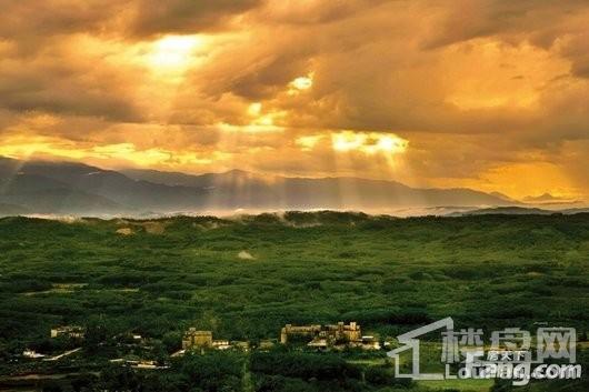 庄园丽都周边配套保亭热带雨林