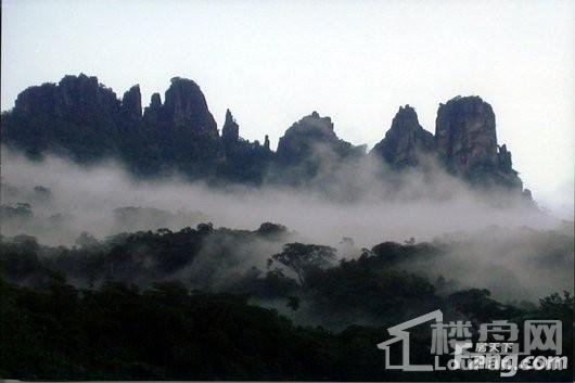 庄园丽都周边配套保亭热带雨林