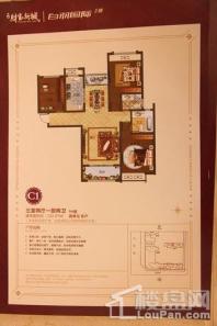 西峡财富新城C1户型 9# 3室2厅2卫1厨