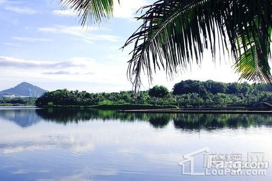 水晶绿岛二期周边白鹭湖景观