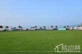 国安海岸项目足球场