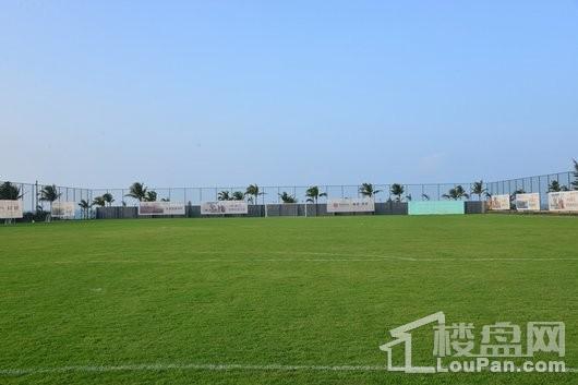 国安海岸项目足球场